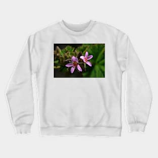 Austral Cranes Bill Crewneck Sweatshirt